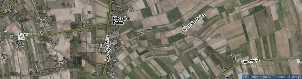 Zdjęcie satelitarne Nieczajna Dolna ul.